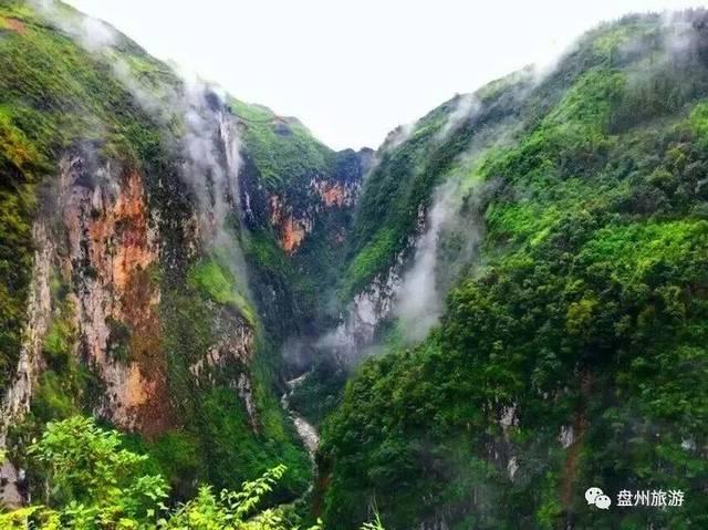择君记：沈妙意外怀孕引发轩然大波，裴衍祯生死危机悬念重重